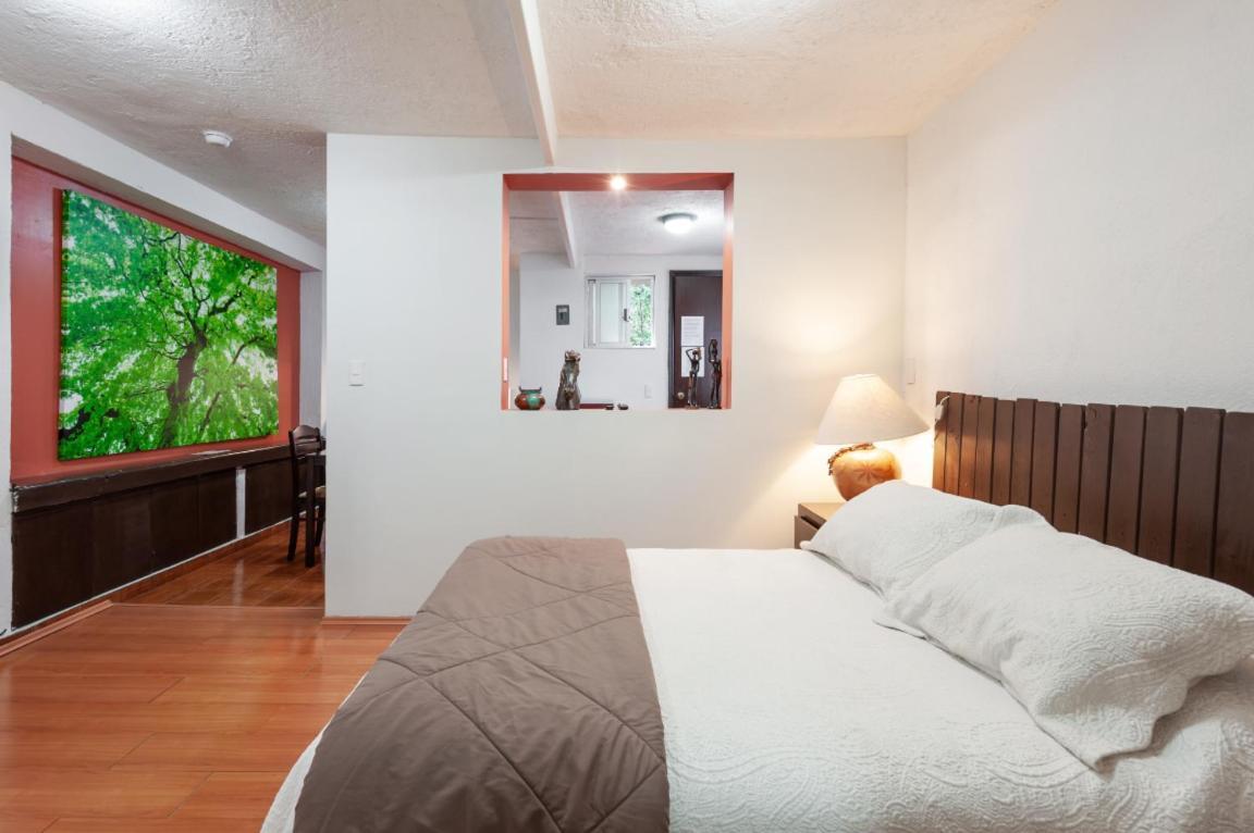Suite 5A, Altavista, Garden House, Welcome To San Angel Cidade do México Exterior foto