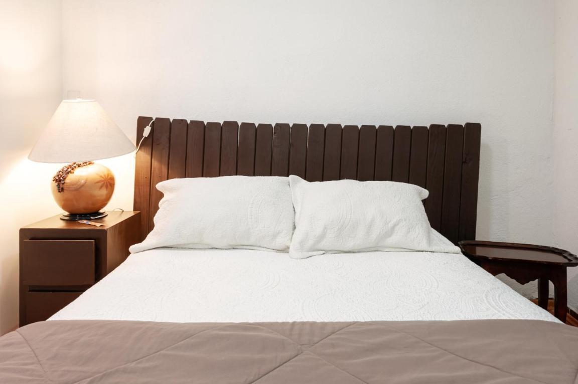 Suite 5A, Altavista, Garden House, Welcome To San Angel Cidade do México Exterior foto